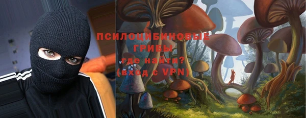 скорость Вяземский