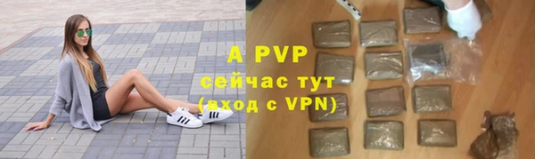 скорость Вяземский