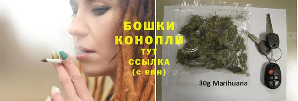 скорость Вяземский