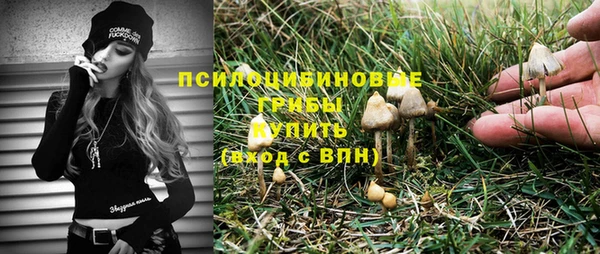скорость Вяземский