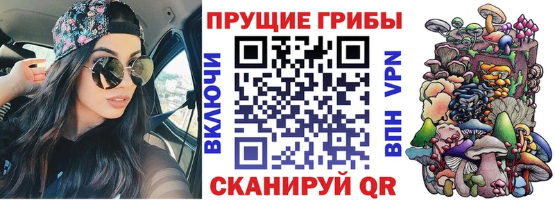 Купить где  Верхняя Тура  Псилоцибиновые грибы мухоморы 